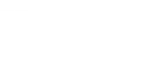 The 101 Logo